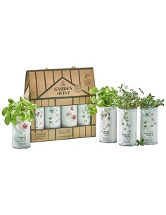 Nobleza del Sur Garden Olive Case 4x250 ml. 2