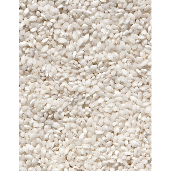 Sivaris Arroz Bomba