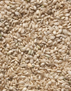 Sivaris Vollkornreis Paket 1 kg. 2