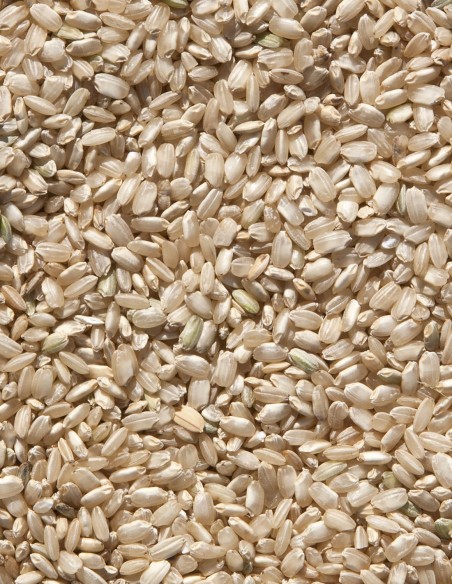 Sivaris Riz complet