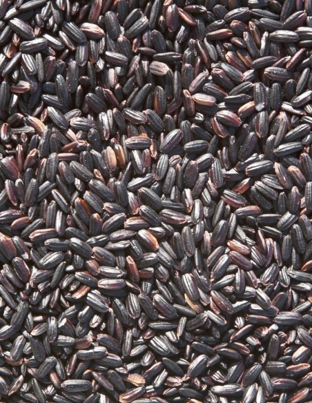 Sivaris Black Rice
