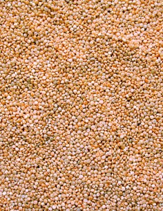 Sivaris Quinoa Paket 400 gr. 2