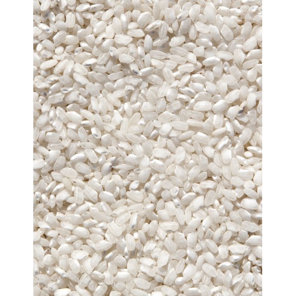 Sivaris Arroz Redondo