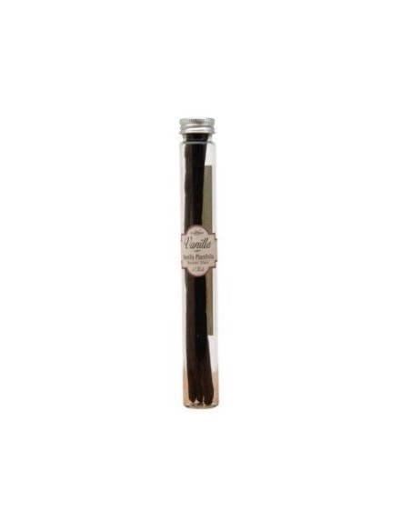 Terre Exotique Vanilla planifolia Jar 8 gr. - Oliva Oliva