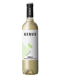 Genus 2022 White Wine Glass bottle 750 ml. - Oliva Oliva