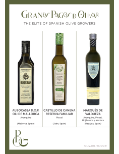 Best Olive Oils Grandes Pagos de Olivar in Wooden box - Oliva Oliva 2