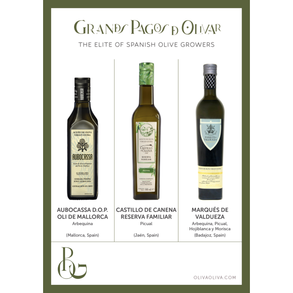 Besten Olivenöle Grandes Pagos de Olivar im Holzkiste - Oliva Oliva