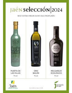 Mejores Aceites Jaén Selección 2024 en Caja de madera - Oliva Oliva 2