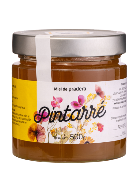 Pintarré Miel Ecológica de Pradera 500 gr. - Oliva Oliva