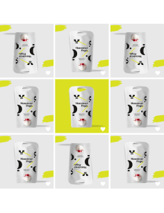 Monsieur Pegó Hojiblanca Envase recarga 3L - Oliva Oliva 2