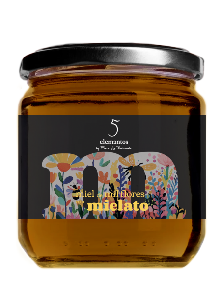 5 Elementos Miel de Mil Flores con Mielato Tarro 500 gr. - Oliva Oliva