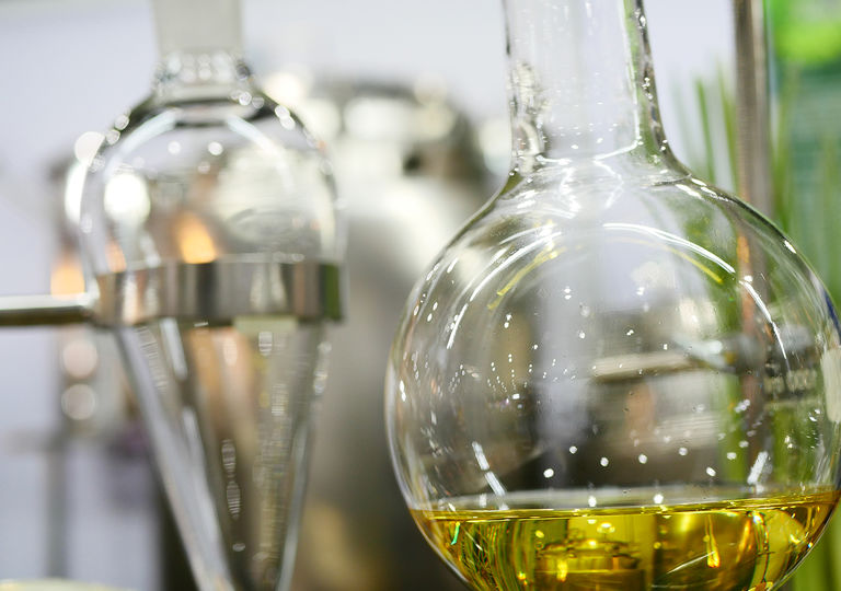 Cata de aceite