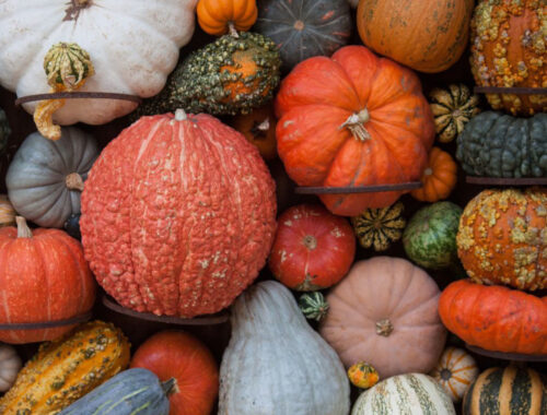 LOS SALUDABLES DE HALLOWEEN